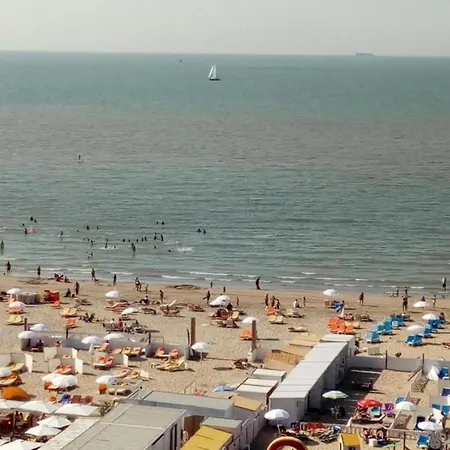 Apartament In Near The