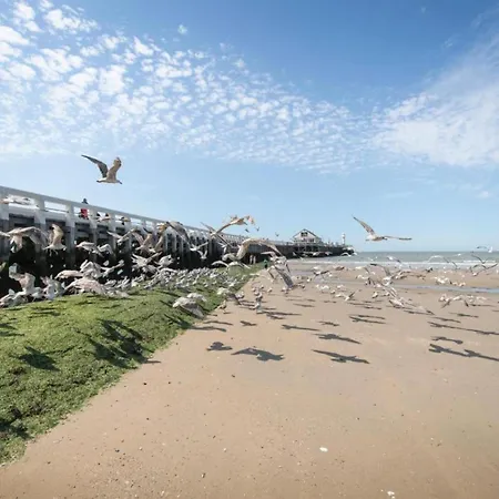 In Near The Blankenberge