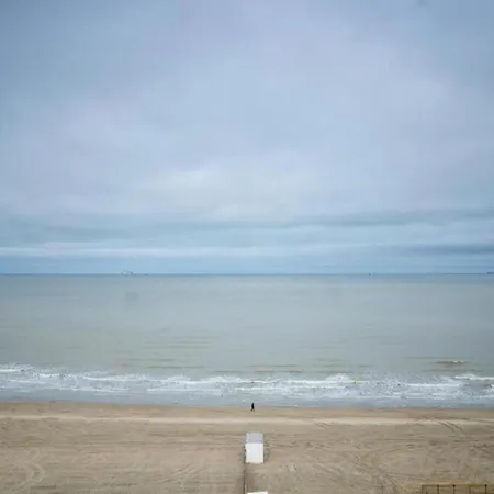 Apartament In Near The *