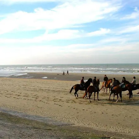 Apartament In Near The Blankenberge