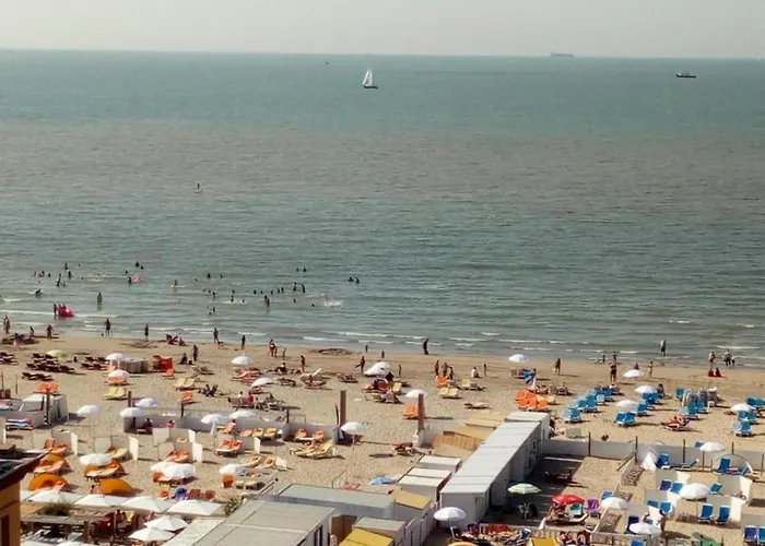 Apartment In Near The