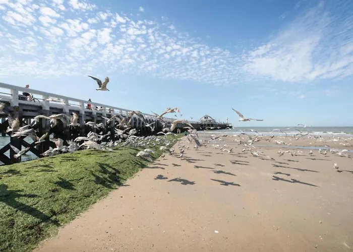 In Near The Blankenberge