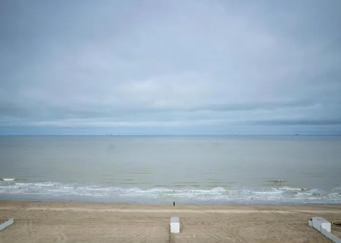 Apartment In Near The *