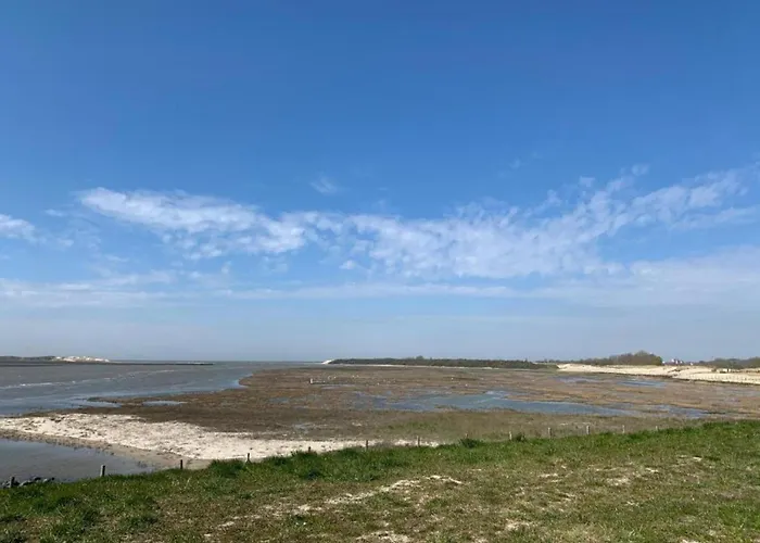 In Near The Apartment *